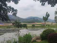 -径山花海