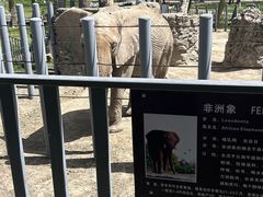 -新疆天山野生动物园