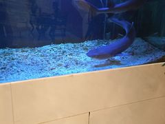 -克丽司汀酒店-日光阁餐厅