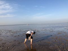 -南汇嘴观海公园