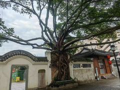 -墨池公园