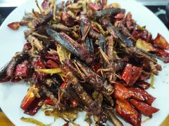 油炸蚂蚱-石屏老字号4号包浆豆腐美食城(泼水广场店)