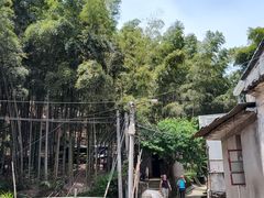 -会稽山峡洞漂流-上青古道