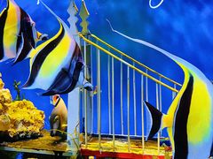 -太平洋海底世界