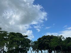 -深圳湾公园(南山区)