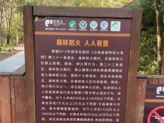 -野象谷景区