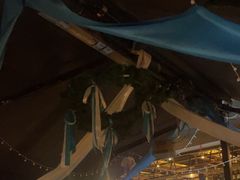 -haxnbauer海森堡德国餐厅(深圳coco店)