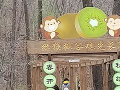 -大岭沟猕猴桃谷风景区