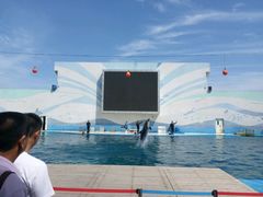 -北戴河圣蓝海洋公园