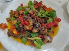 -煲来饱去冷水鱼