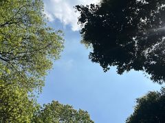 -铁山坪森林公园