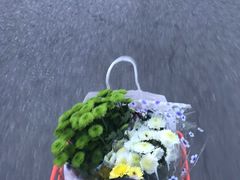 -好利来(八里庄店)