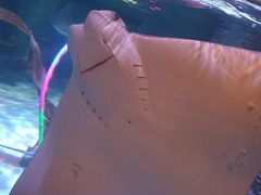 -沈阳海洋探索中心