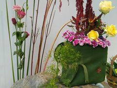 -广州市第二少年宫