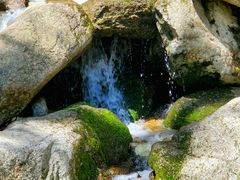 -王顺山国家森林公园