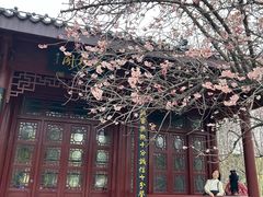 -堤角公园