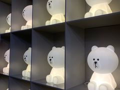 -line friends(明洞旗舰店)
