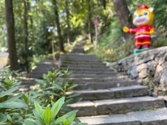 -严子陵钓台(富春江小三峡)