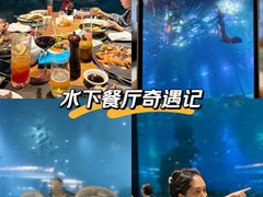 -海棠湾洲际-涛·海底餐厅·美人鱼·自助餐·海底隧道