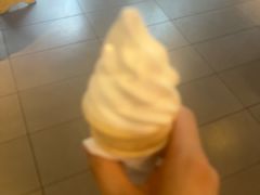 -麦当劳(田林好又多店)