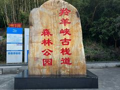 -羚羊峡古栈道森林公园
