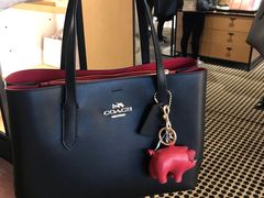 -COACH蔻驰(百联奥特莱斯广场店)