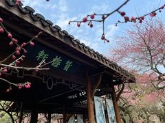 -杭州植物园