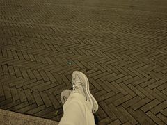 -深圳湾公园(南山区)
