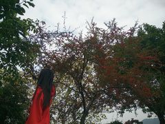 -金堂县云顶石城风景区