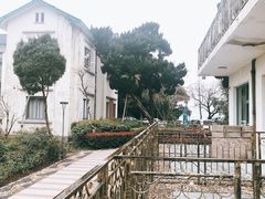 -上海市保健医疗中心(华东疗养院)