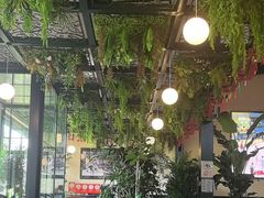 -普兰达德国餐厅·德式脆皮烤猪肘·自酿啤酒(观唐店)