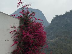 -明仕田园