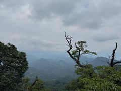 -青城山