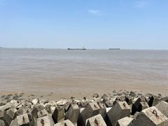 -上海滨江森林公园