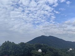 -紫金山天文台