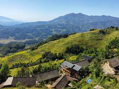 -紫鹊界梯田景区