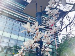 -上海中医药大学附属曙光医院(东部)