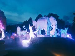 -清迈夜间动物园