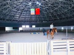 -中加枫华国际学校