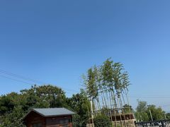-少华山国家森林公园