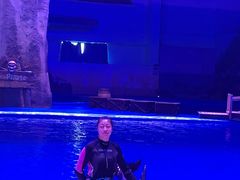 -华夏文旅海洋公园