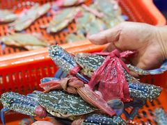 -巽寮印象美食部落餐厅·海鲜·地方特色菜(惠州体验店)