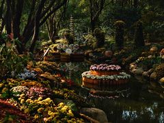 -上海共青森林公园