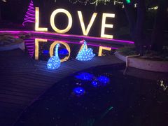 -枫花园汽车电影院(朝阳公园店)