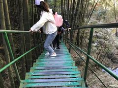 -藏龙百瀑风景区