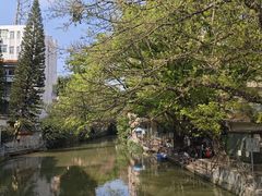 -小洲村