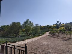-西青郊野公园