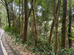 -白云山风景名胜区