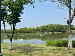 -贡湖湾湿地公园