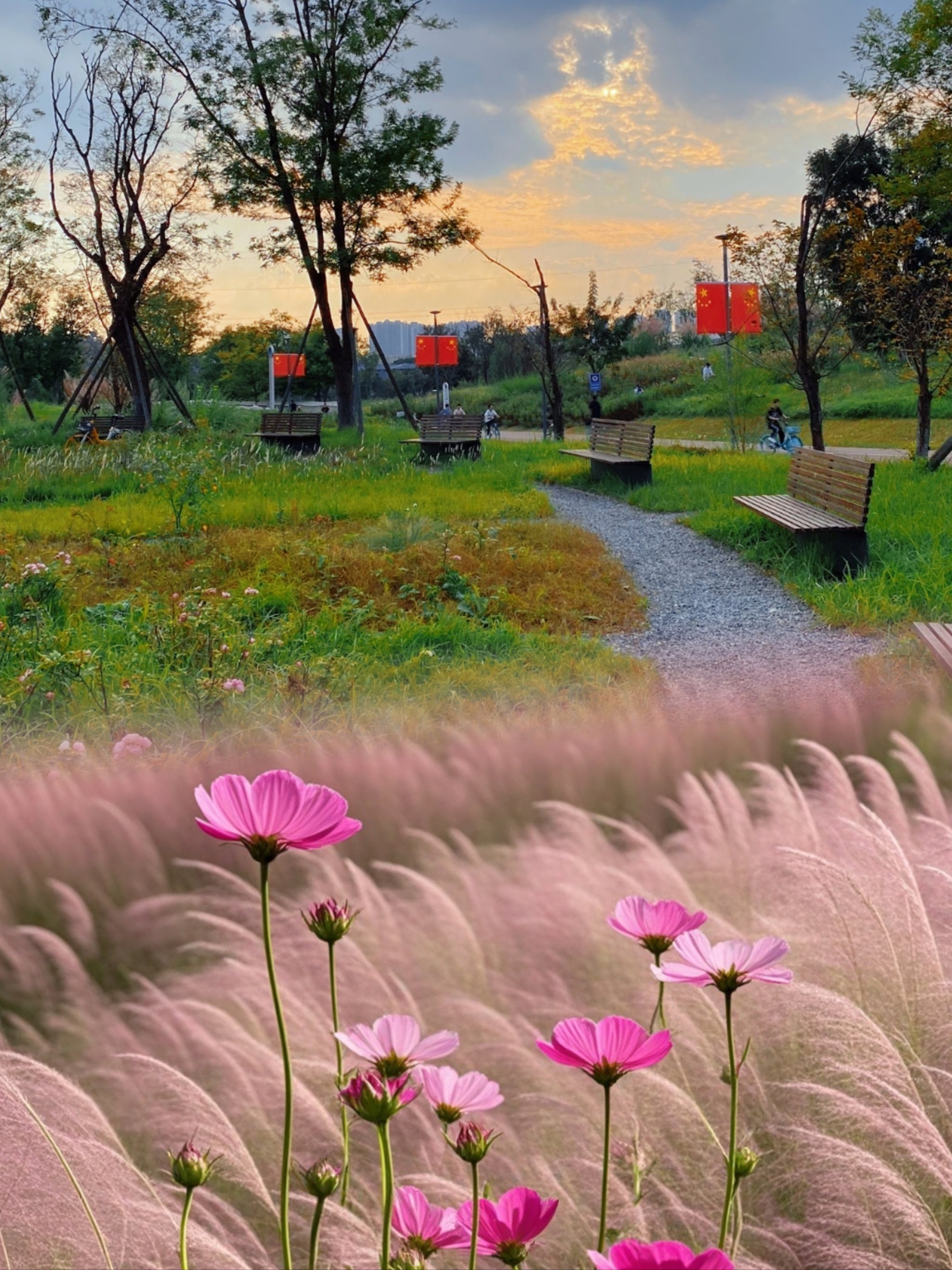 成都免费的花海景区图片